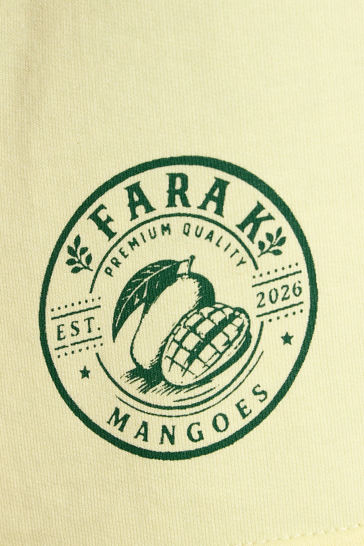 Mango T-shirt